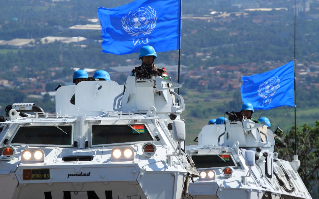 UN Small Arms Treaty — URGENT!